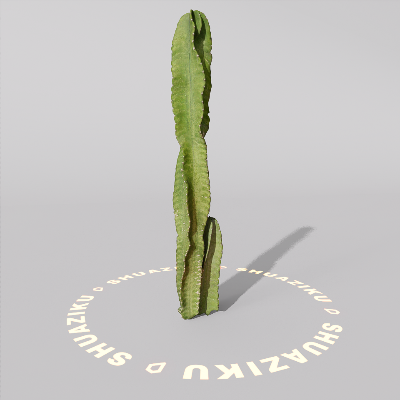 图片[6]-D5仙人掌模型-刷子库