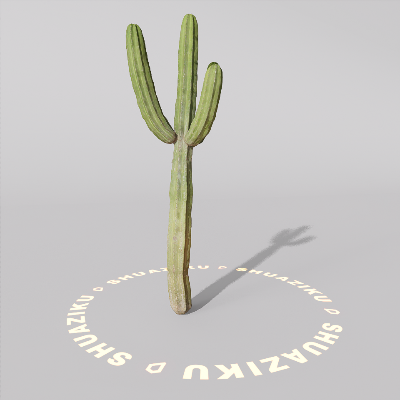图片[8]-D5仙人掌模型-刷子库