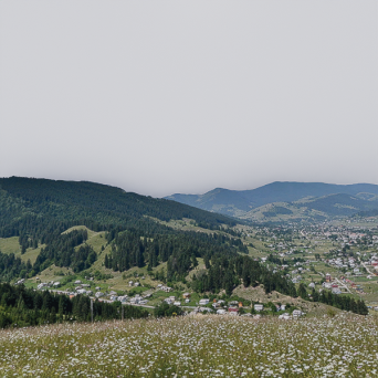 图片[1]-D5弧形背景模型15个-刷子库