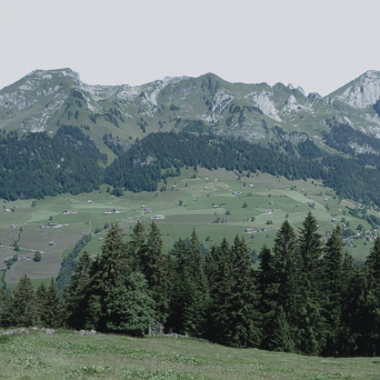 图片[2]-D5弧形背景模型15个-刷子库