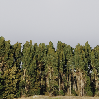 图片[3]-D5弧形背景模型15个-刷子库