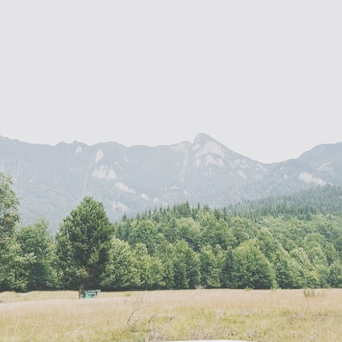 图片[5]-D5弧形背景模型15个-刷子库