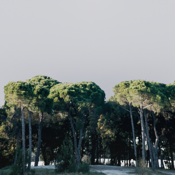 图片[4]-D5弧形背景模型15个-刷子库