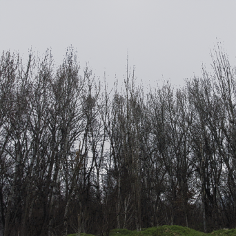 图片[7]-D5弧形背景模型15个-刷子库