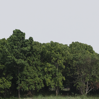 图片[6]-D5弧形背景模型15个-刷子库