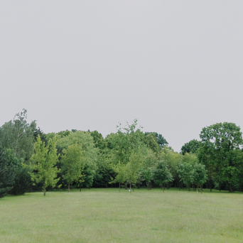 图片[10]-D5弧形背景模型15个-刷子库