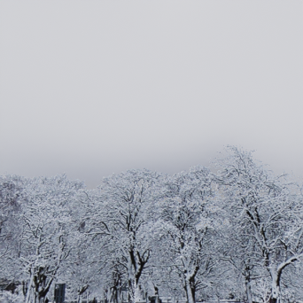 图片[12]-D5弧形背景模型15个-刷子库