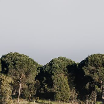 图片[14]-D5弧形背景模型15个-刷子库