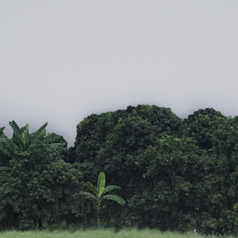 图片[13]-D5弧形背景模型15个-刷子库