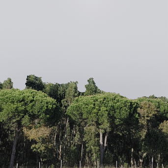 图片[15]-D5弧形背景模型15个-刷子库