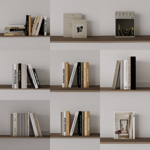 D5书籍模型20个-刷子库