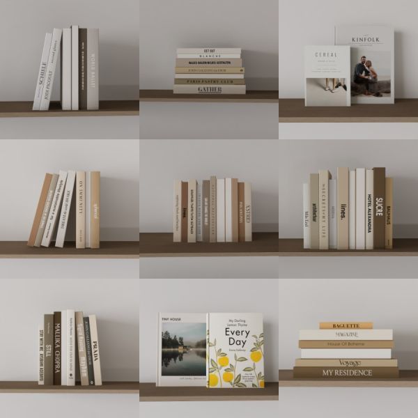 D5书籍模型18个-刷子库