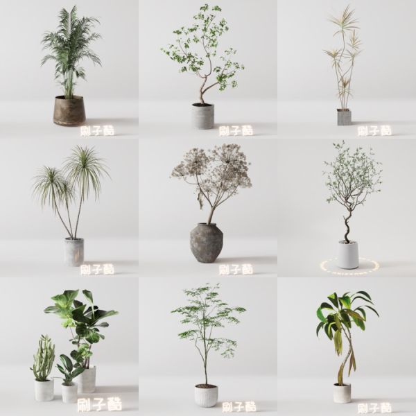D5落地盆栽植物模型20个-刷子库