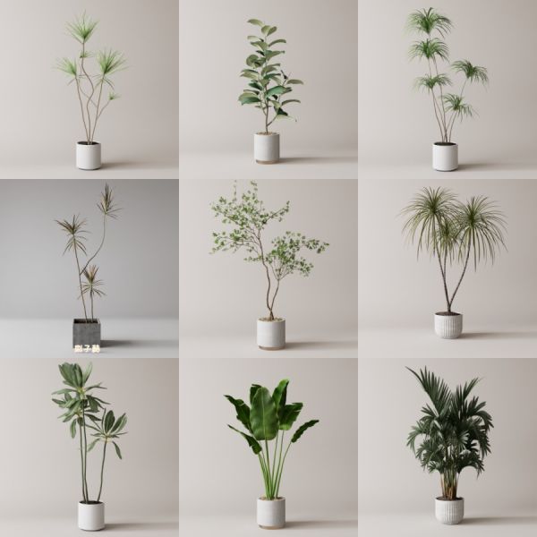 D5落地盆栽植物模型20个-刷子库