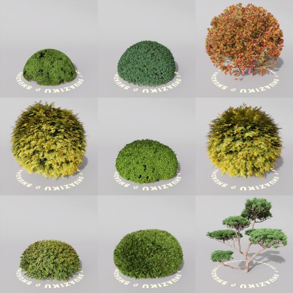 D5室外绿植树木模型20个-刷子库