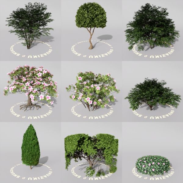 D5室外绿植树木模型20个-刷子库