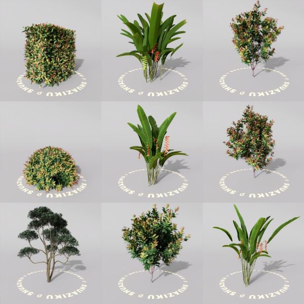 D5室外绿植树木模型20个-刷子库