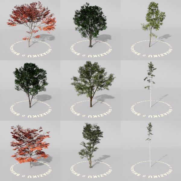 D5室外绿植树木模型20个-刷子库
