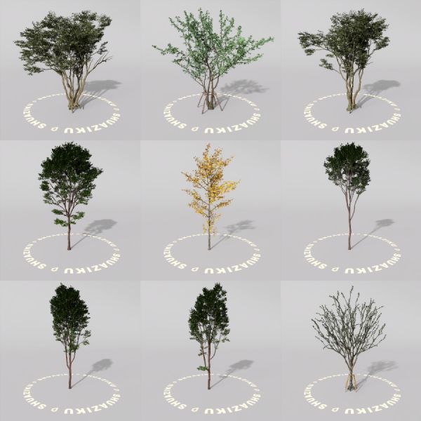 D5室外绿植树木模型20个-刷子库