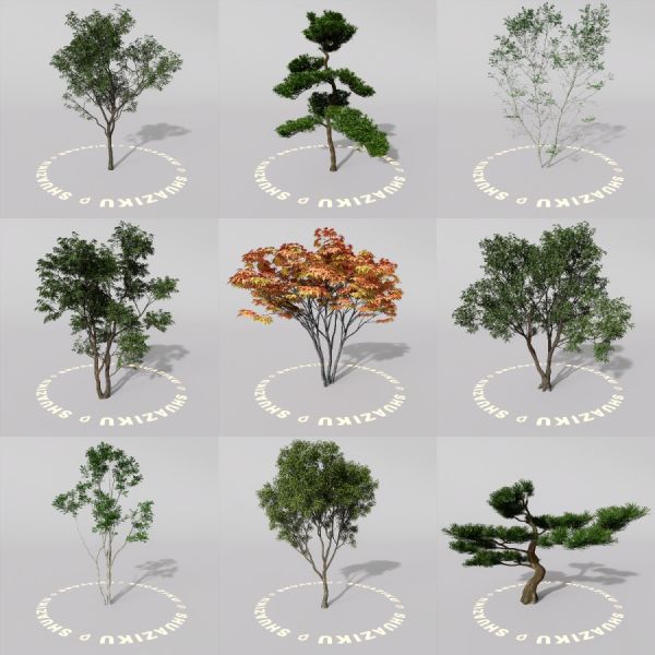 D5室外绿植树木模型20个-刷子库