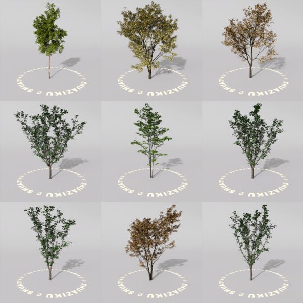 D5室外绿植树木模型20个-刷子库