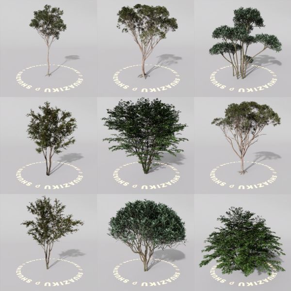 D5室外绿植树木模型20个-刷子库