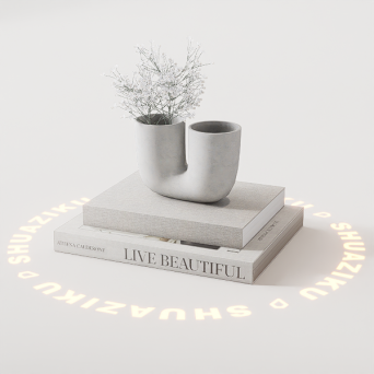 图片[1]-D5渲染器室内模型11个-刷子库