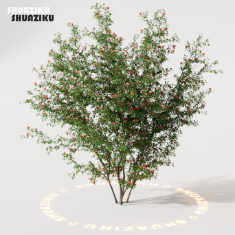 图片[3]-D5渲染器室外绿植树木模型22个-刷子库