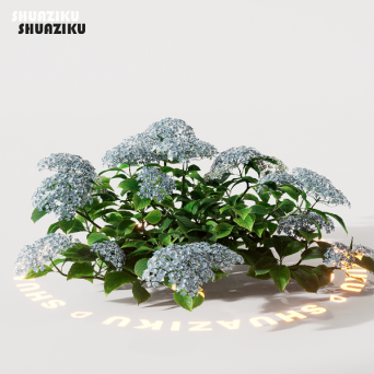 图片[5]-D5渲染器室外绿植树木模型22个-刷子库