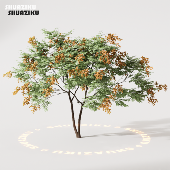 图片[6]-D5渲染器室外绿植树木模型22个-刷子库