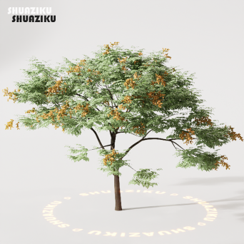 图片[7]-D5渲染器室外绿植树木模型22个-刷子库