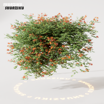 图片[8]-D5渲染器室外绿植树木模型22个-刷子库