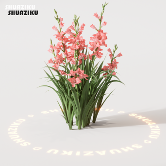 图片[11]-D5渲染器室外绿植树木模型22个-刷子库