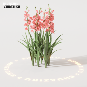 图片[14]-D5渲染器室外绿植树木模型22个-刷子库