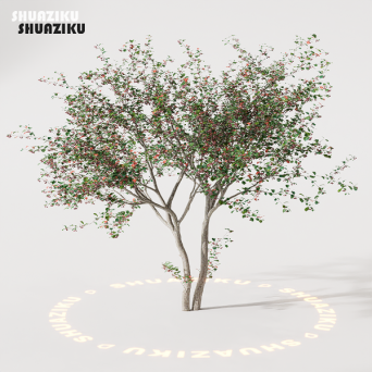 图片[20]-D5渲染器室外绿植树木模型22个-刷子库