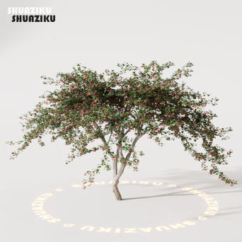 图片[19]-D5渲染器室外绿植树木模型22个-刷子库