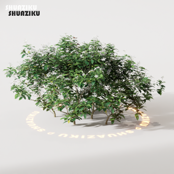 图片[3]-D5渲染器室外绿植树木模型22个-刷子库