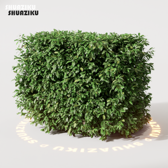 图片[8]-D5渲染器室外绿植树木模型22个-刷子库