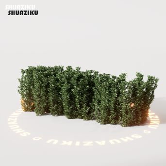 图片[10]-D5渲染器室外绿植树木模型22个-刷子库