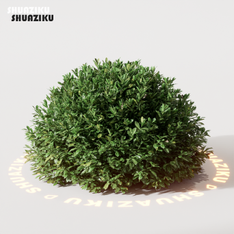 图片[9]-D5渲染器室外绿植树木模型22个-刷子库