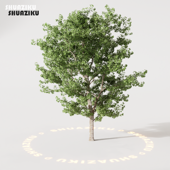 图片[13]-D5渲染器室外绿植树木模型22个-刷子库