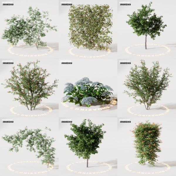 D5渲染器室外绿植树木模型22个-刷子库