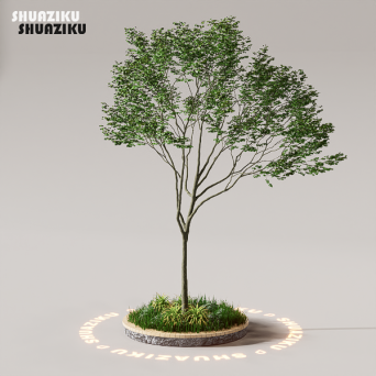 图片[10]-D5渲染器花池花坛组合植物模型10款-刷子库