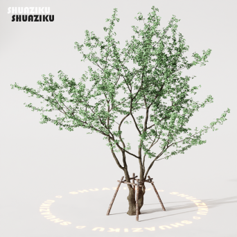 图片[1]-D5渲染器室外植物树木模型下载88个-刷子库