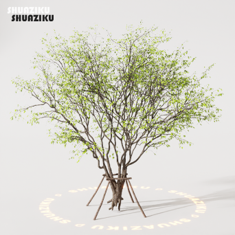 图片[2]-D5渲染器室外植物树木模型下载88个-刷子库