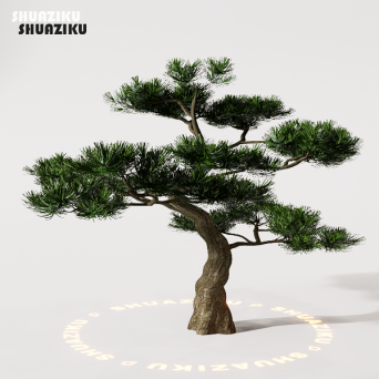 图片[11]-D5渲染器室外植物树木模型下载88个-刷子库