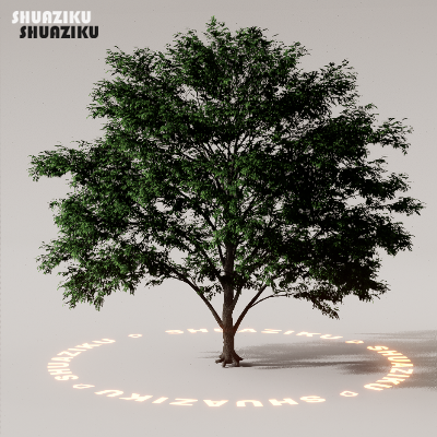 图片[12]-D5渲染器室外植物树木模型下载88个-刷子库