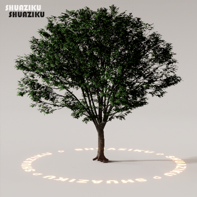 图片[13]-D5渲染器室外植物树木模型下载88个-刷子库