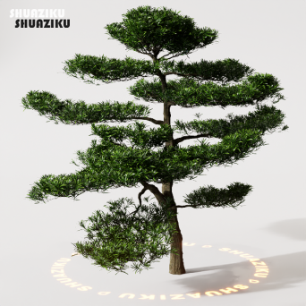 图片[14]-D5渲染器室外植物树木模型下载88个-刷子库