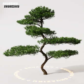 图片[15]-D5渲染器室外植物树木模型下载88个-刷子库